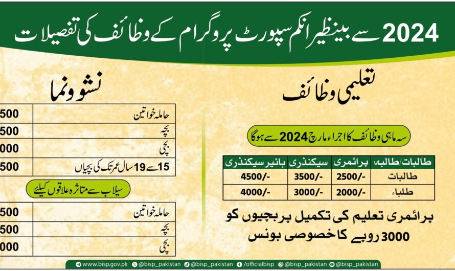 How to Check Ehsaas Program Money 2024 Online